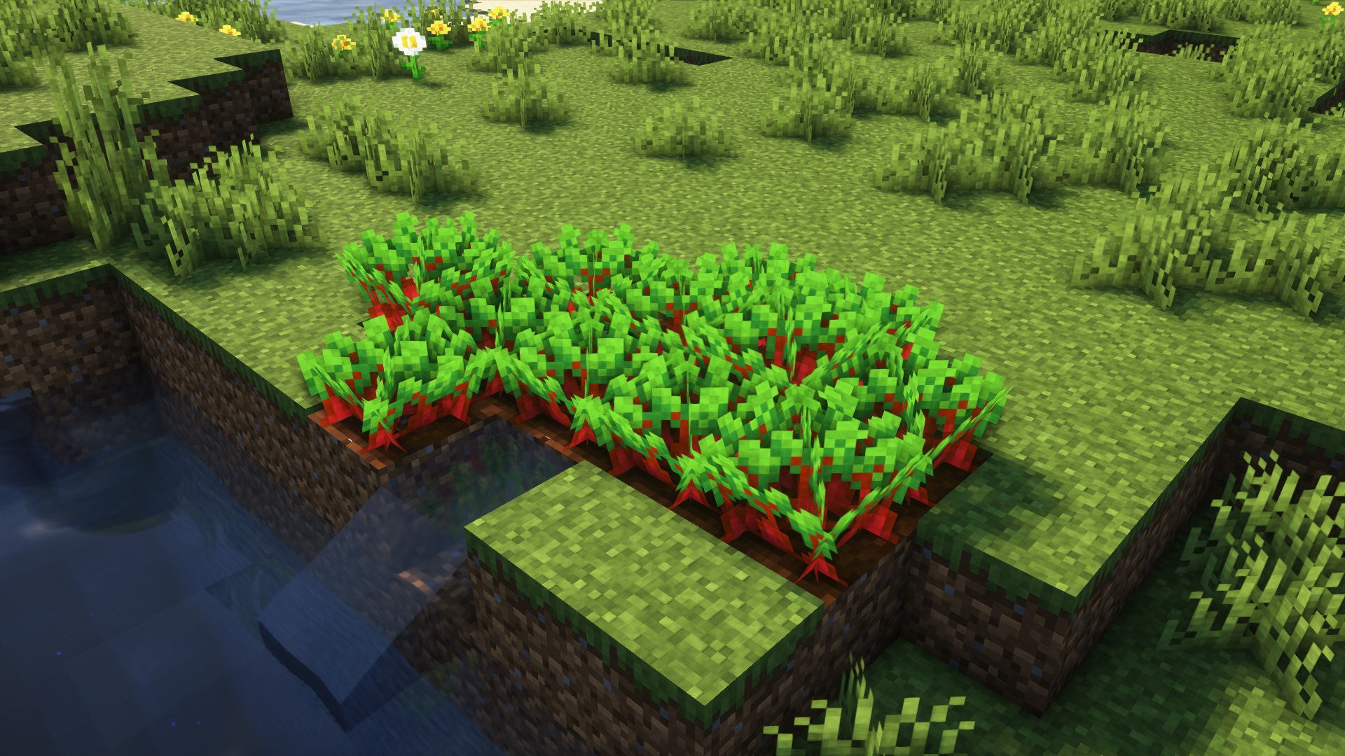 Карты в майнкрафт tlauncher. Resource Crops. Minecraft Crop Stage ID. Texture Crop как сделать. Texture Crop.