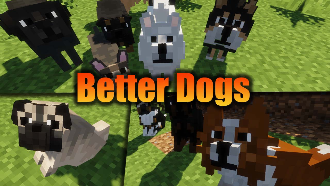 Better dogs screenshot 1