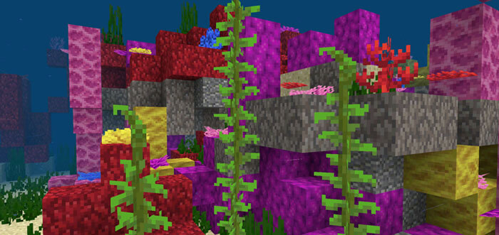 -1231215285: Огромный коралловый биом на спавне скриншот 3