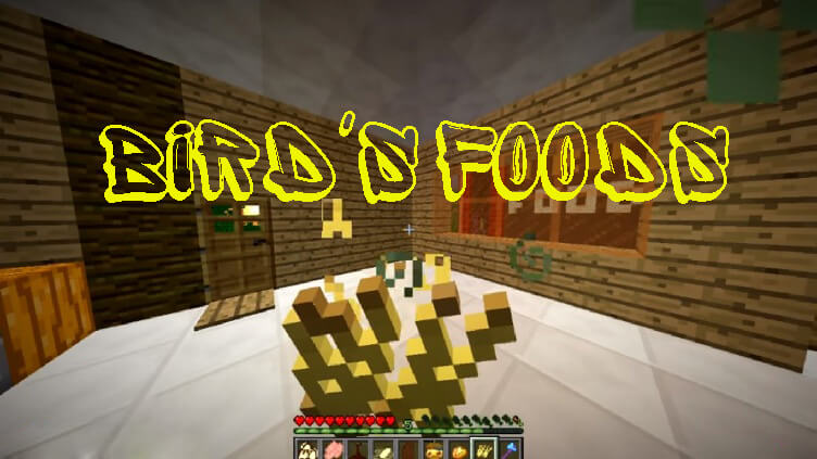 Bird's Foods скриншот 1