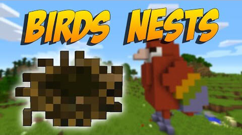 Birds Nests скриншот 1