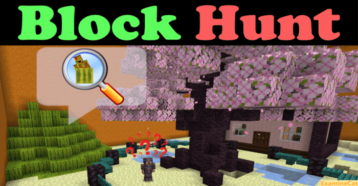 Block Hunt screenshot 1