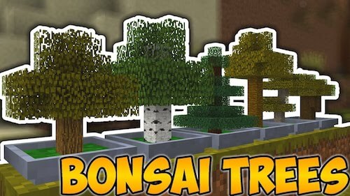 Bonsai Trees 2 скриншот 1