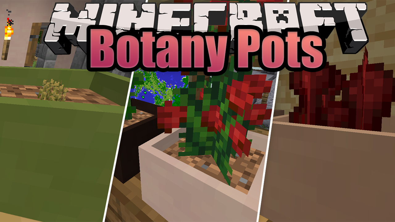Botany Pots screenshot 1