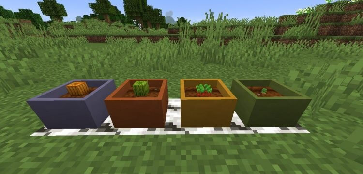 Botany Pots screenshot 3