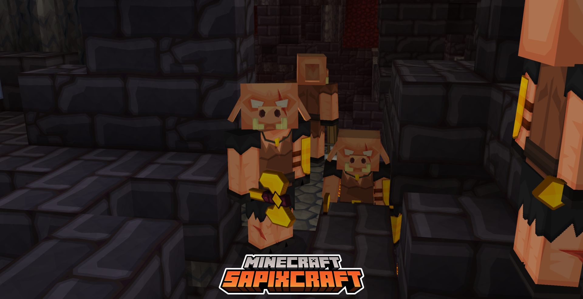 Sapixcraft screenshot 3