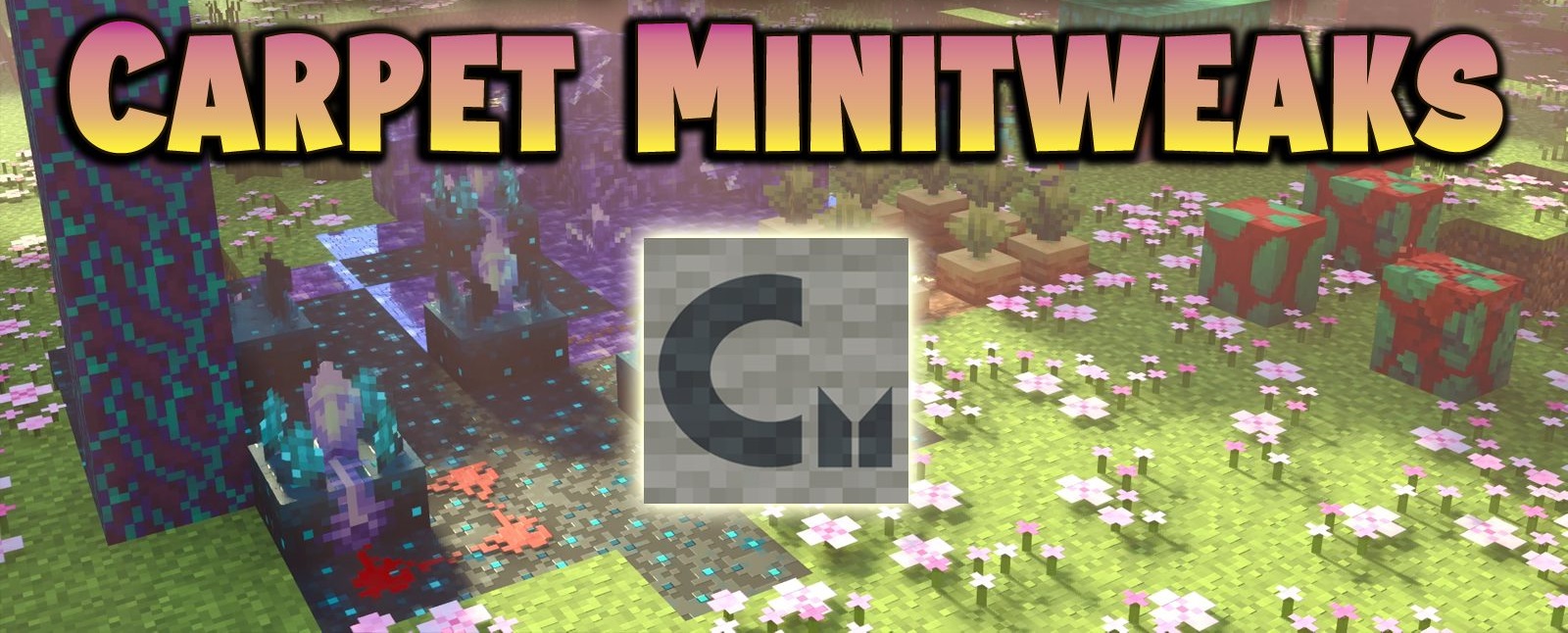 Carpet Minitweaks screenshot 1