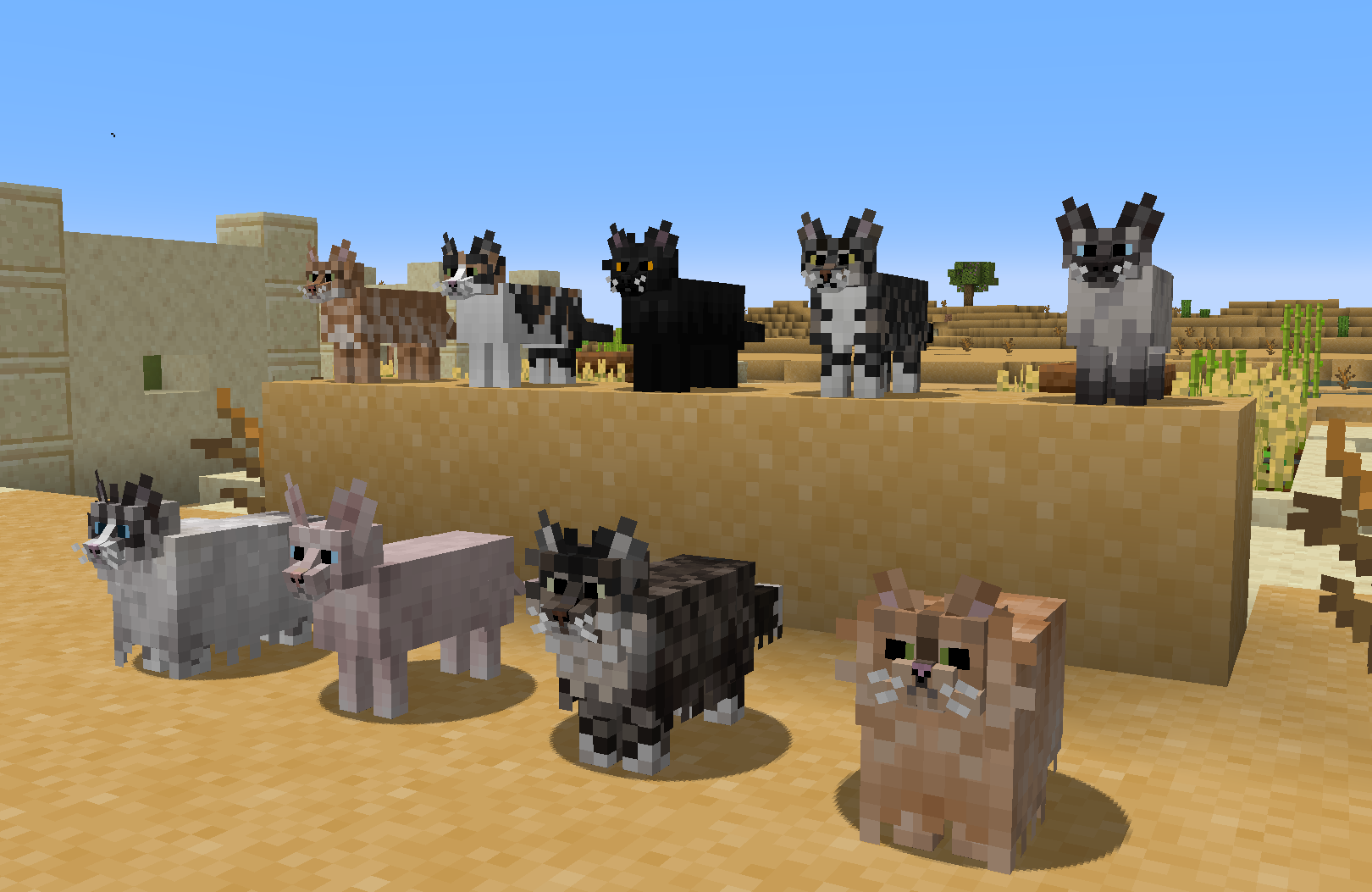 Better Cats for Minecraft 1.14.4