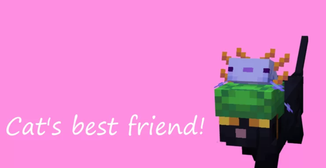 Cat’s Best Friend screenshot 1