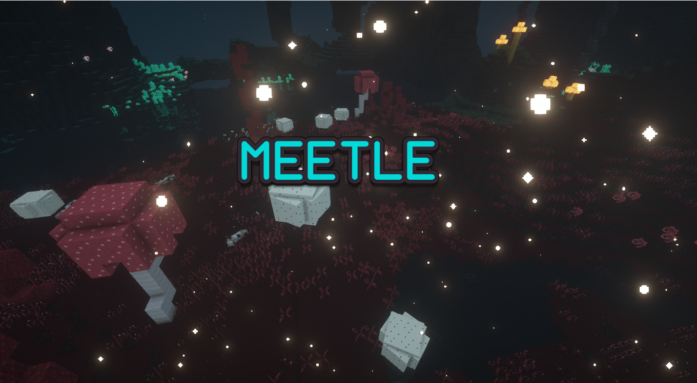 Meetle screenshot 1