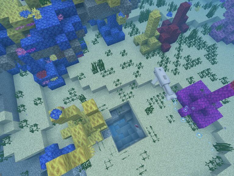 -1537918027 Coral Reefs and an Underwater Cave screenshot 3
