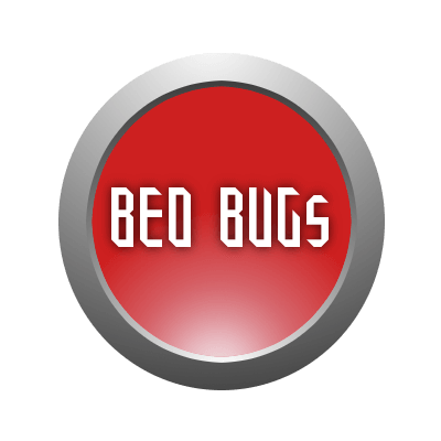 Bed Bugs скриншот 1