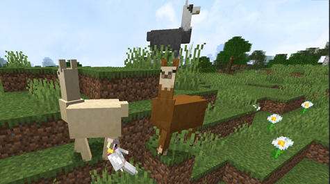 Renewed Animals screenshot 2