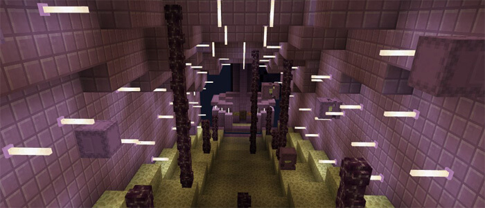 The Ender Elytra скриншот 4