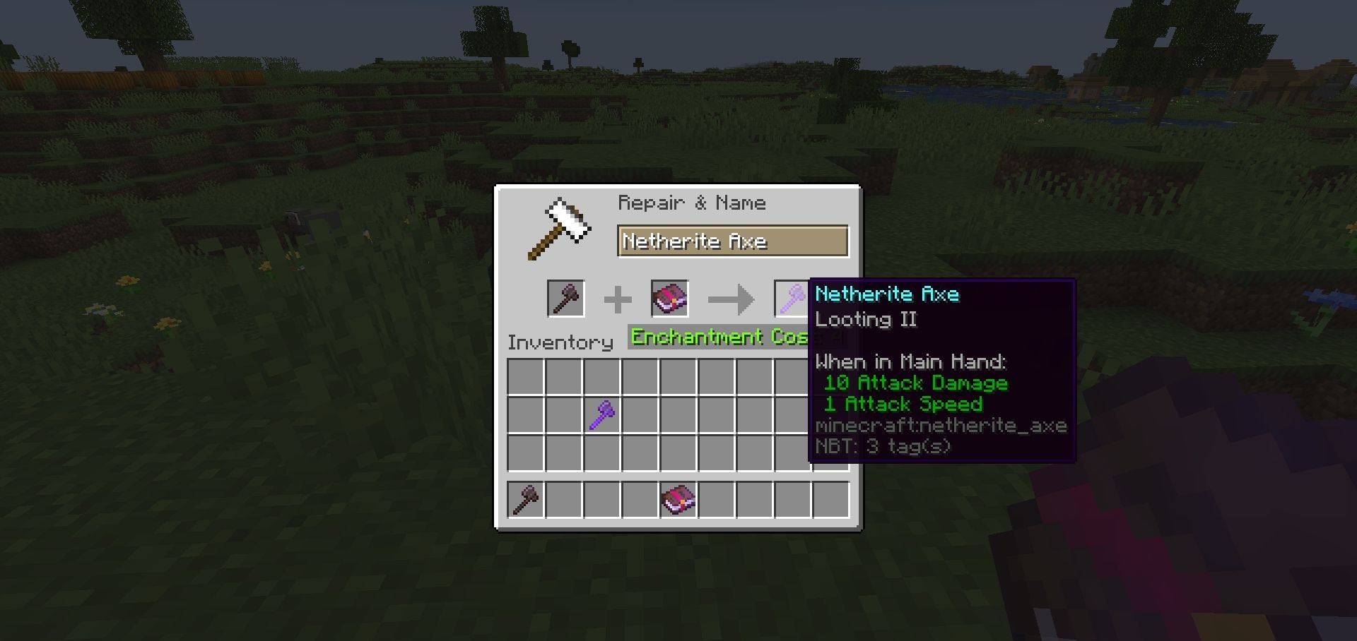 Expanded Axe Enchanting for Minecraft 1.16.5