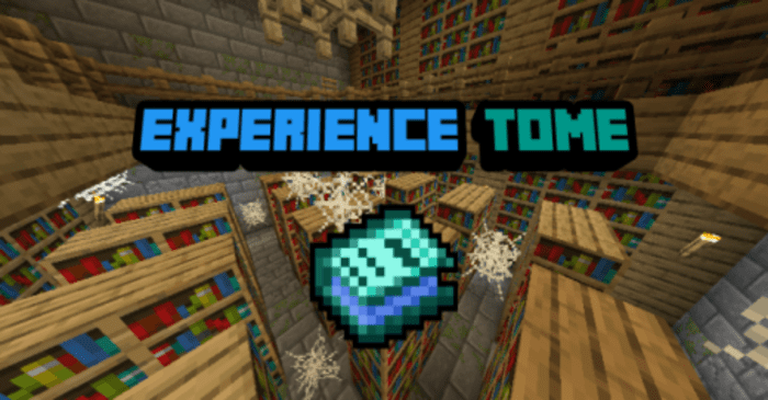 Experience Tome screenshot 1