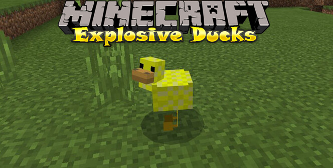 Explosive Ducks скриншот 1