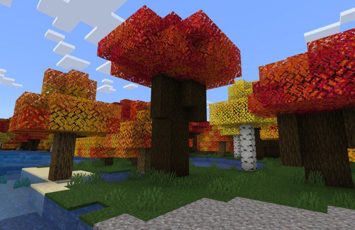 Fall Colors screenshot 2