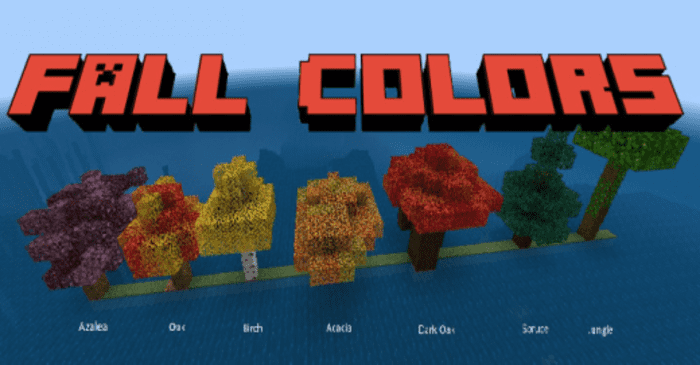 Fall Colors screenshot 1