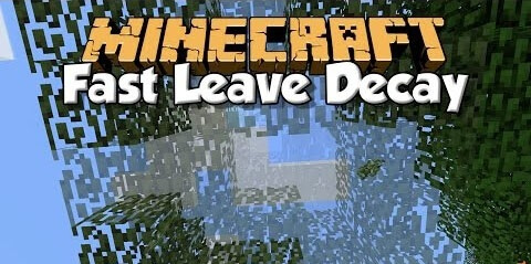 Fast Leaf Decay screenshot 1