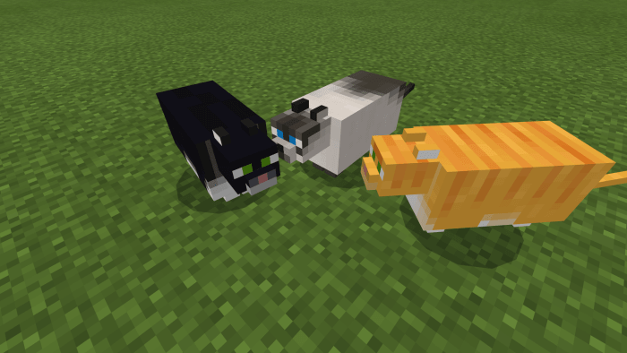 Fat Cats for Minecraft Pocket Edition 1.15
