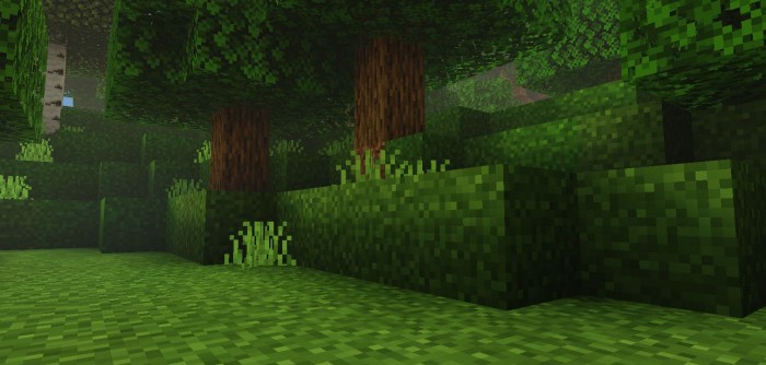 Full Grass screenshot 1