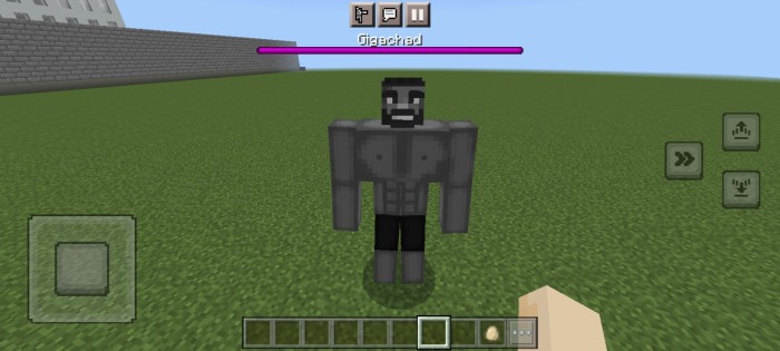 The Giga chad Golem Minecraft Mob Skin