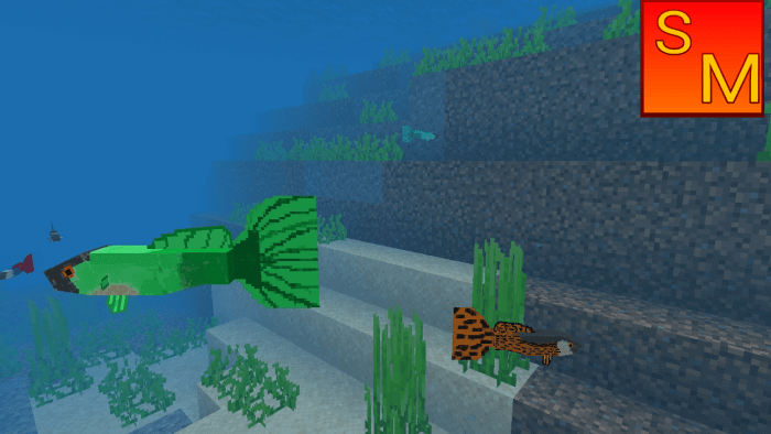 Guppy Fish screenshot 3