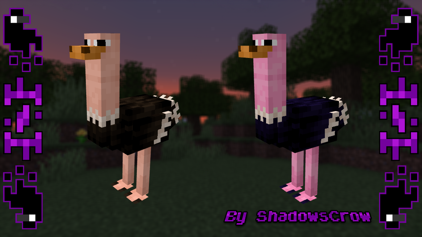 SHC Ostriches screenshot 1