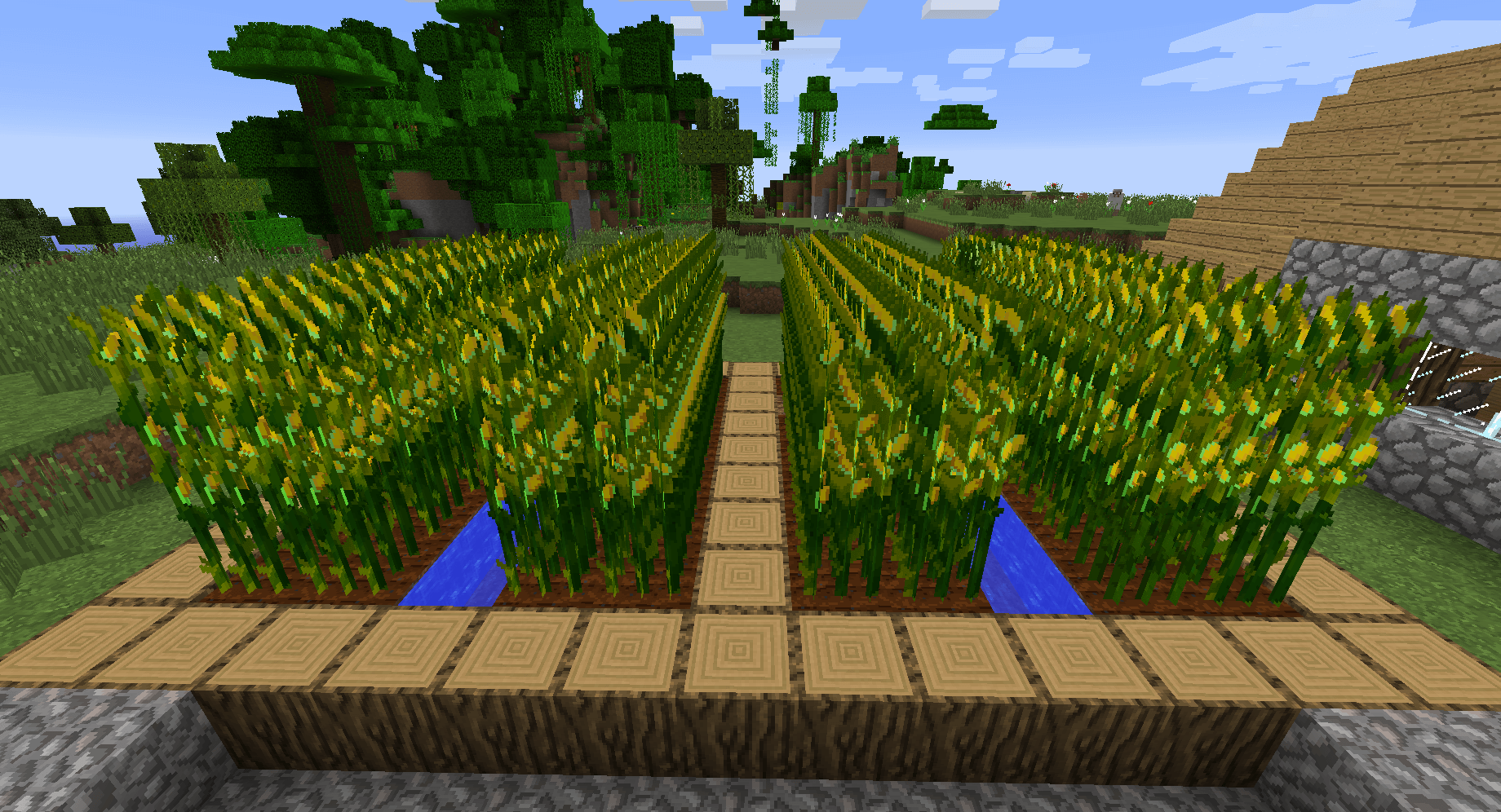 Simple Corn screenshot 2