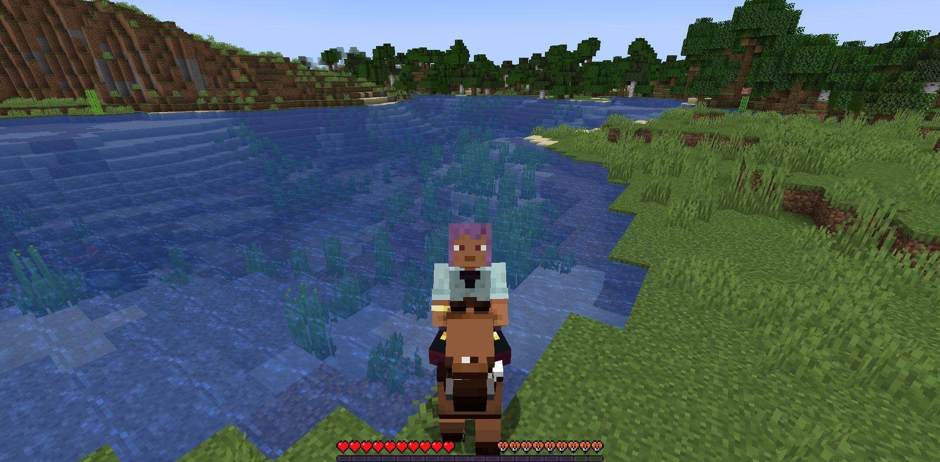 Horse Buff screenshot 2