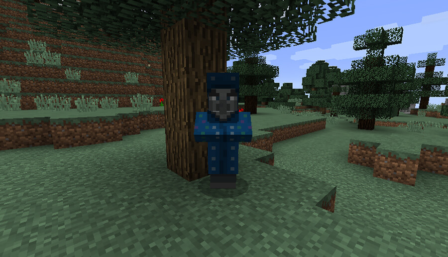 Illusionist screenshot 1 in Minecraft 1.12