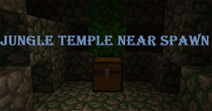 -88171561: Jungle Temple Near Spawn скриншот 1