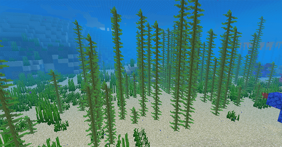 Морские водоросли и Ламинария в Minecraft 1.13