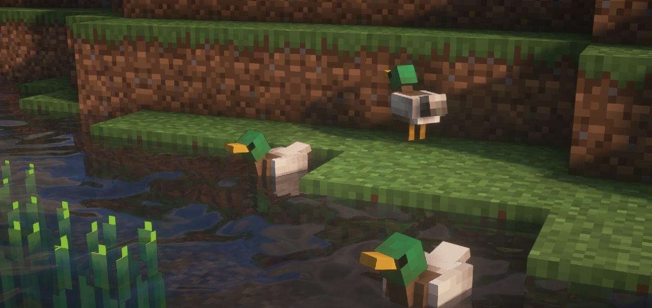 Mallards screenshot 2