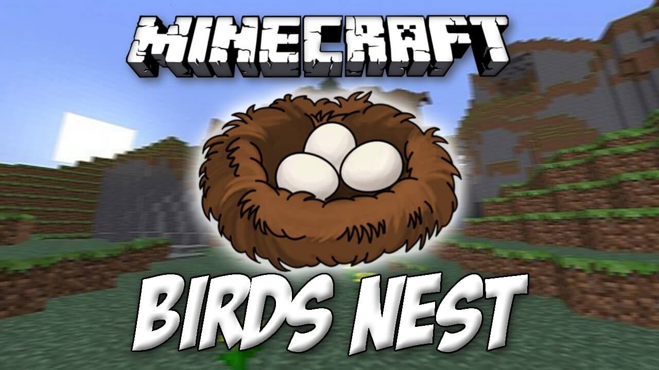 Birds Nests скриншот 1