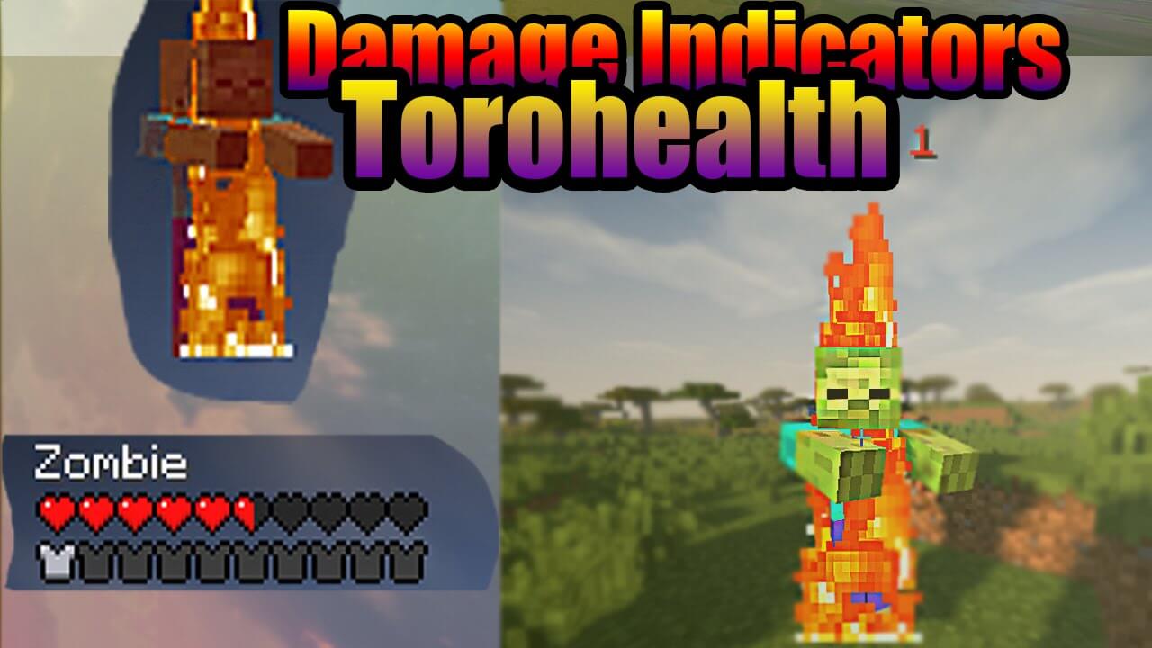 ToroHealth Damage Indicators скриншот 1