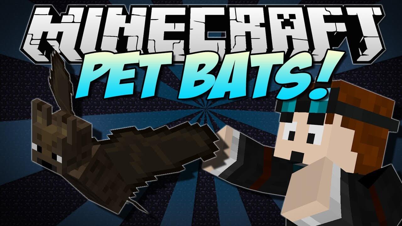 Pet Bats скриншот 1