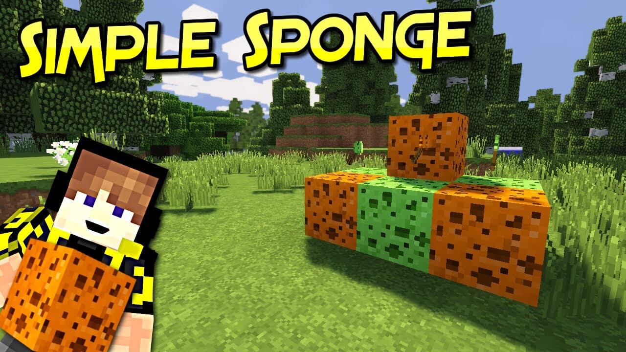 Simple Sponge скриншот 1