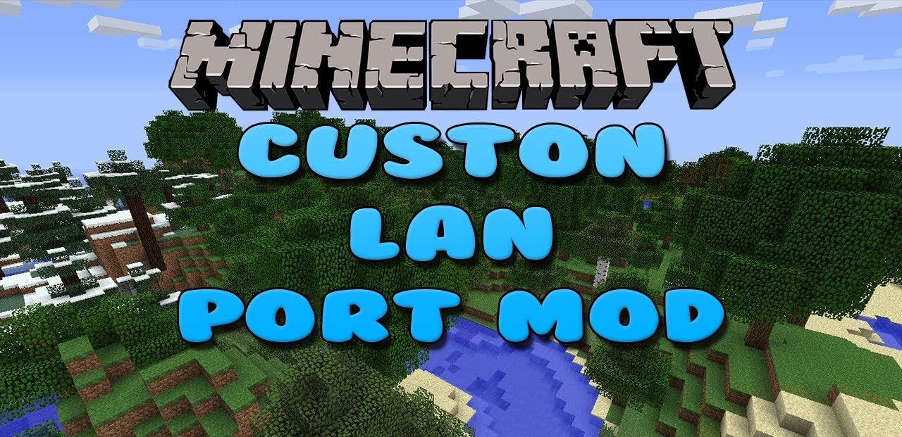 Custom LAN Ports скриншот 1