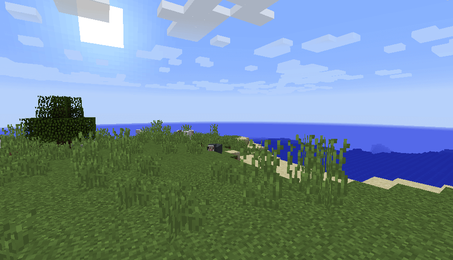 Screenshot Minecraft 1.14.4