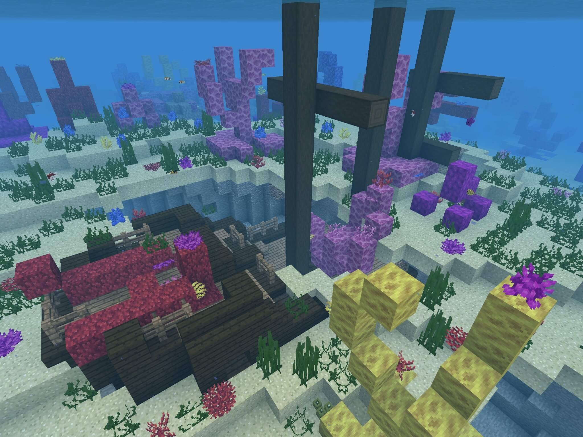 Shipwreck Overtaken by Coral Reef screenshot 3