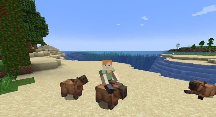 Capybara in Minecraft