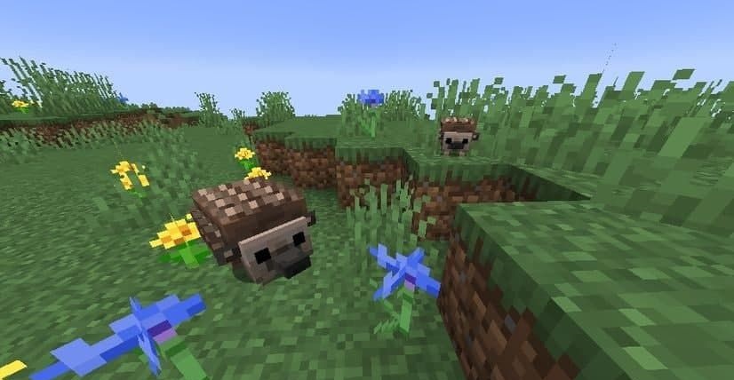 Hedgehogs  screenshot 3