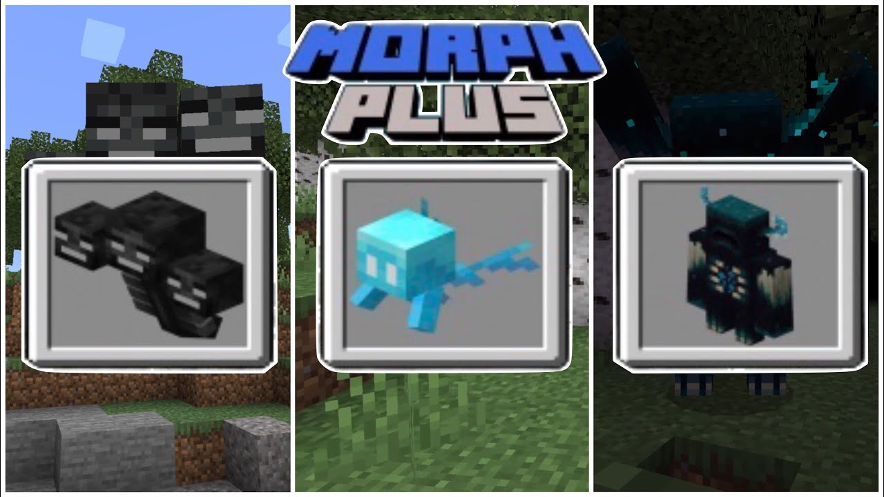 Morph Plus для Minecraft Pocket Edition 1.19