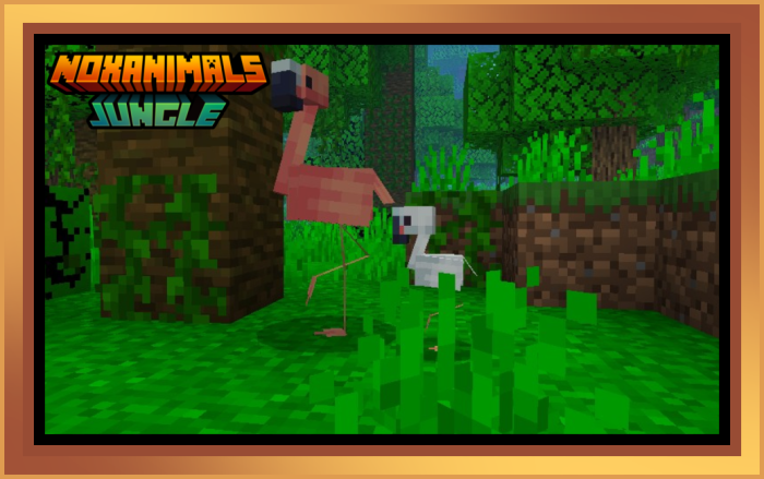 NoxAnimals screenshot 2