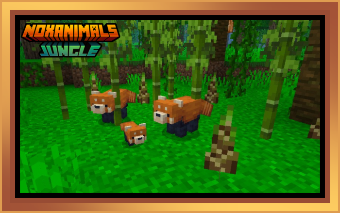 NoxAnimals screenshot 3