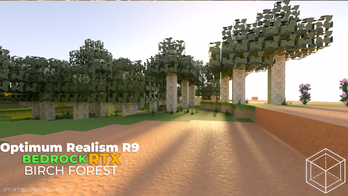 Optimum Realism R9 - Ultra HD Realistic & RTX: screenshot 1