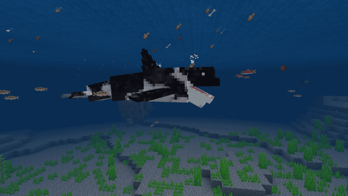Orca screenshot 2