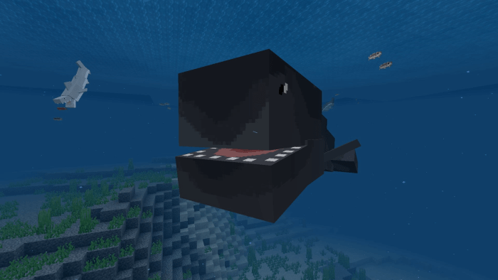 Orca / Killer Whale screenshot 2